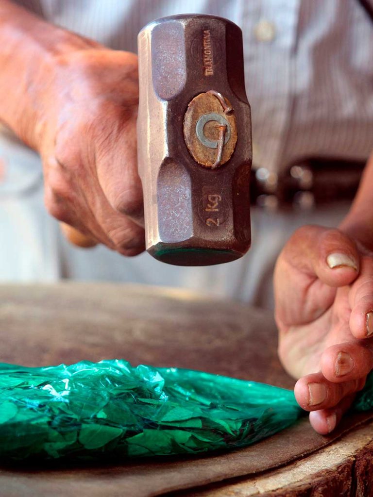De planta sagrada andina a tendencia urbana: la hoja de coca entre historia, identidad y nuevos consumos en Bolivia.